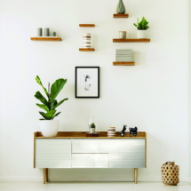 Plant on wooden white cupboard in apartment interior with posters and fireplace. Real photo